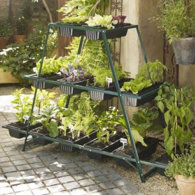 Patiogro® image(1)