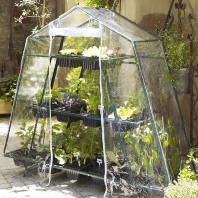 Patiogro&reg; Greenhouse Kit image()