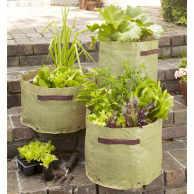 Vegetable Planter Trio image()