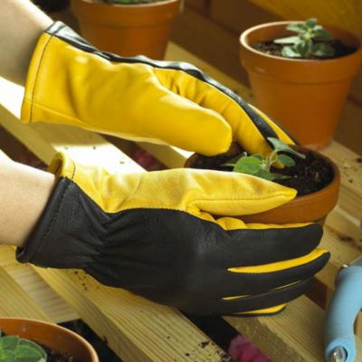 Ladies Gold Leaf Dry Touch Gloves image(1)