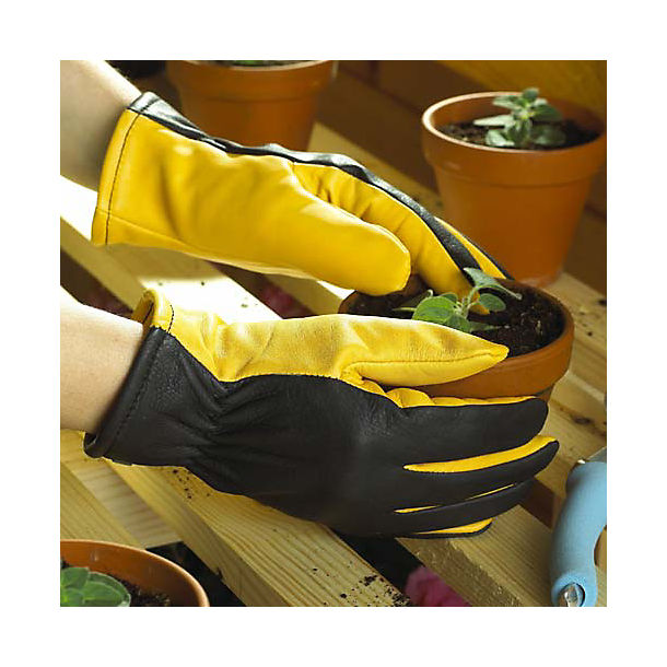 Ladies Gold Leaf Dry Touch Gloves image(1)