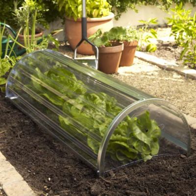 Longrow Super Cloche 3 Pack Offer image(1)
