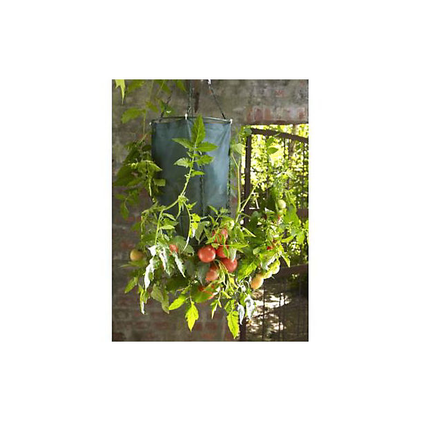 Upside Down Tomato Planters image()
