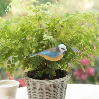 Birdie Moisture Meter image()