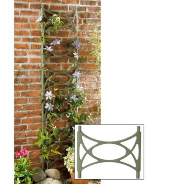 Build-Up Trellis image()