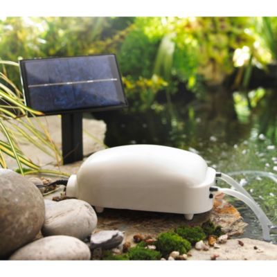Solar Pond Oxygenator image()