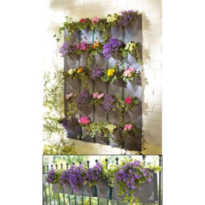 Hanging Plant Pockets - Strip image()