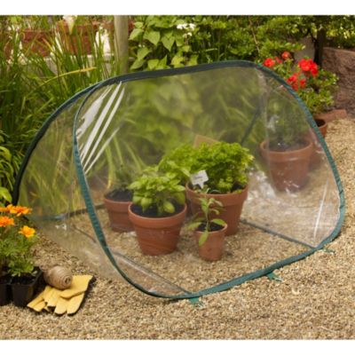 Triangle Pop-Up Greenhouse image()