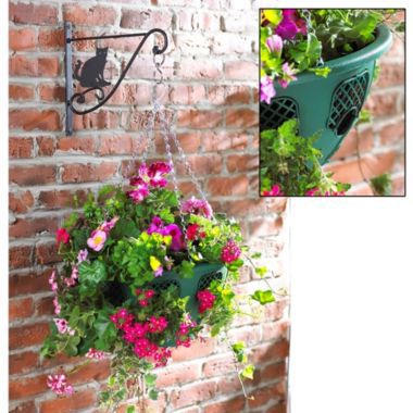Plantopia Hanging Baskets Lakeland