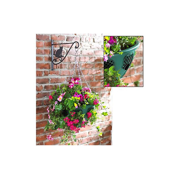Plantopia Hanging Baskets image(1)