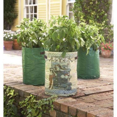 Potato Planter Trio image()