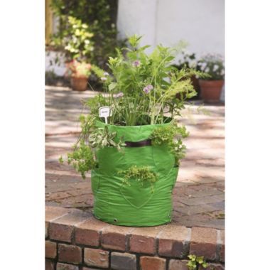 Herb Planter Duo image()