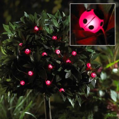 Ladybird Solar Light String image()