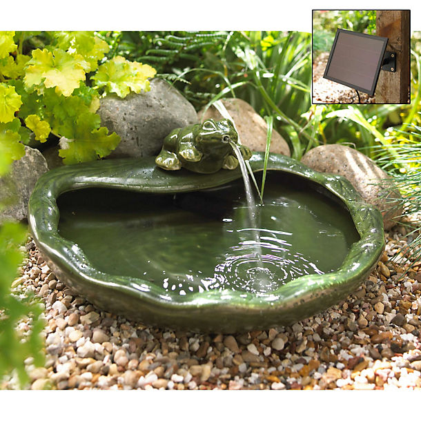 Frog Solar Fountain image()