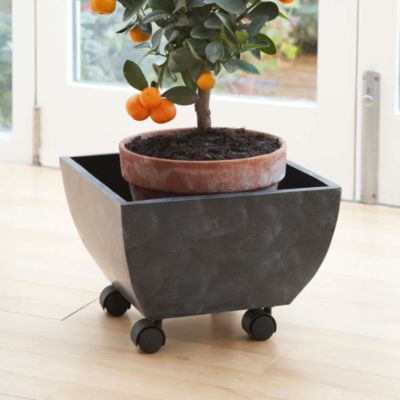Wheeled Planter image()