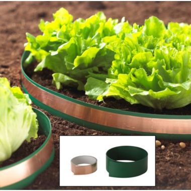 Slug Circles image()