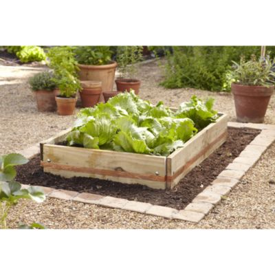 Small Slug Proof Timber Raised Bed image(1)
