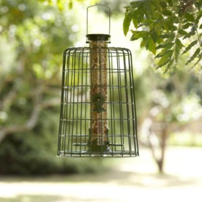 Guardian Seed Feeder image()