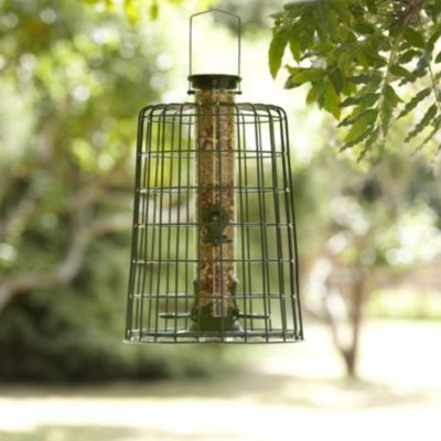 Guardian Seed Feeder | Lakeland