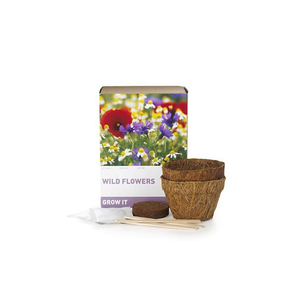 Grow It Kit - Wild Flowers image()