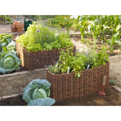 Small Willow Vegetable Planter image()