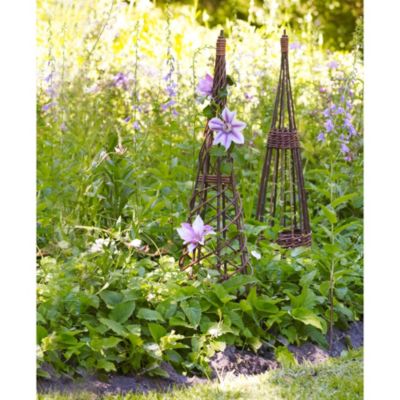 Willow Obelisks image()