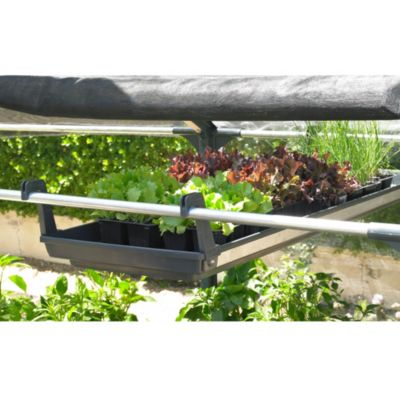GrowTray image(1)