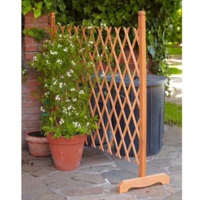 Freestanding Expandable Wooden Trellis | Lakeland