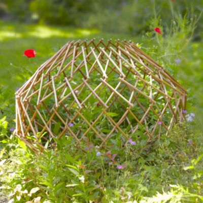 Expanding Willow Ball image()