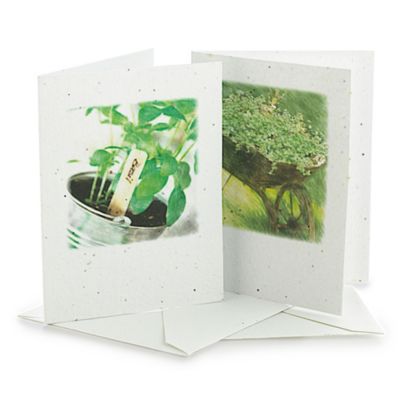 Seed Greetings Cards image(1)