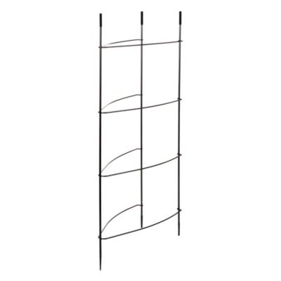 Triangular Growing Frame image(1)