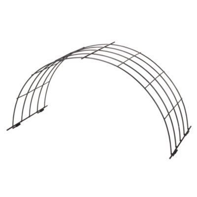 Circular Growing Frame image()