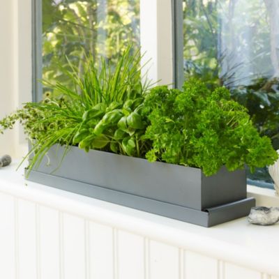 Grow-Your-Own-Herbs Planter image(1)