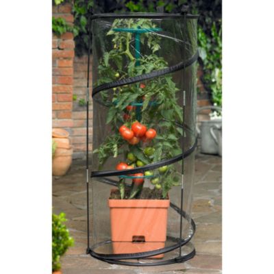 Pop-Up Cylinder Greenhouse image(1)