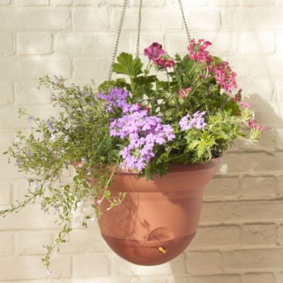 Self watering deals hanging baskets