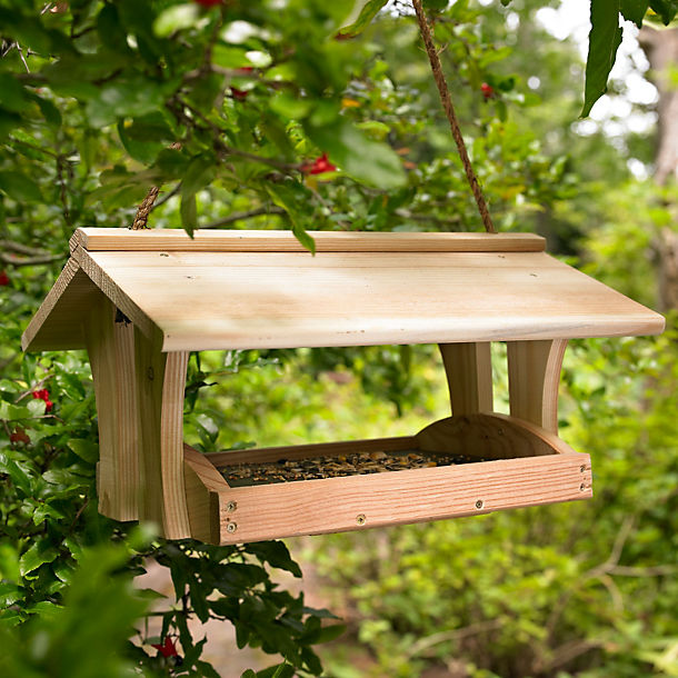 Easy-Clean Refectory Bird Table image(1)