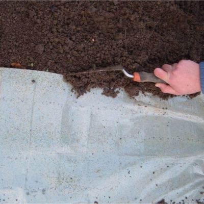 Summer Salad Seed Roll image(2)