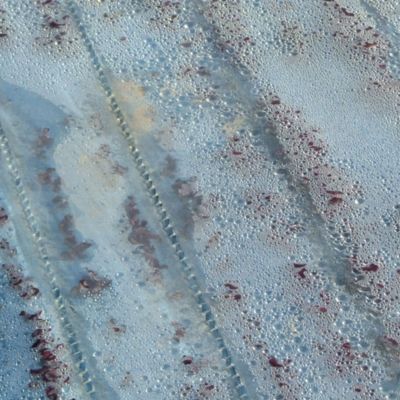 Summer Salad Seed Roll image(3)