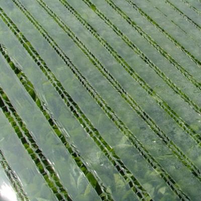 Summer Salad Seed Roll image(4)