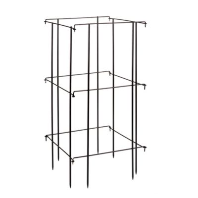 Square Plant Support image(1)