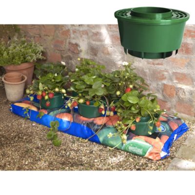 6 Mini Growpots image(1)