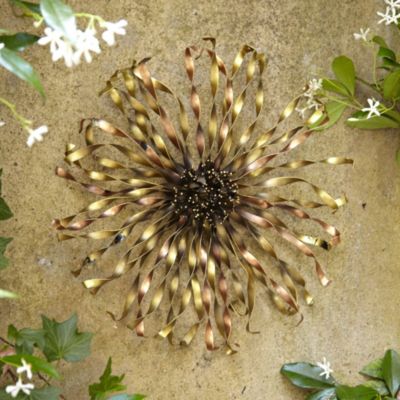 Decorative Sunflower image()