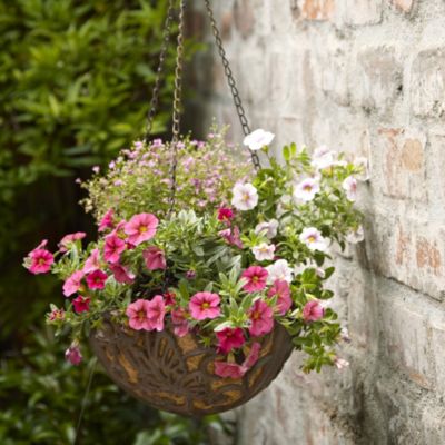 Butterfly Hanging Basket image(1)