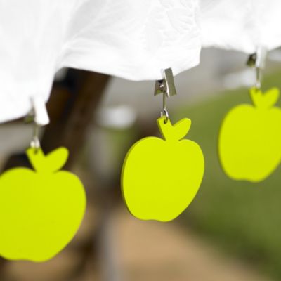 4 Apple Tablecloth Weights image(1)