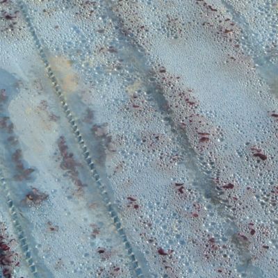 Classic Herbs Seed Roll image(3)