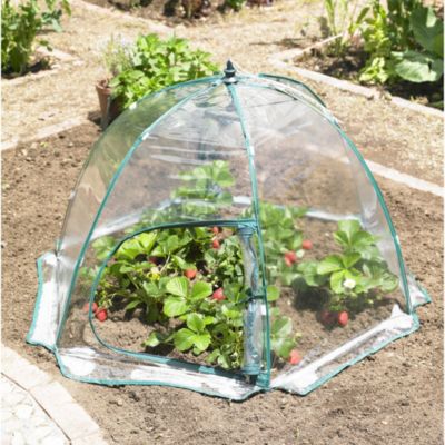 Umbrella Greenhouse Cloche Lakeland