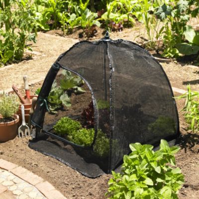 Umbrella Shade Cloche image(1)