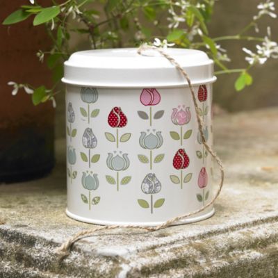 Four Seasons Tin of String image(1)