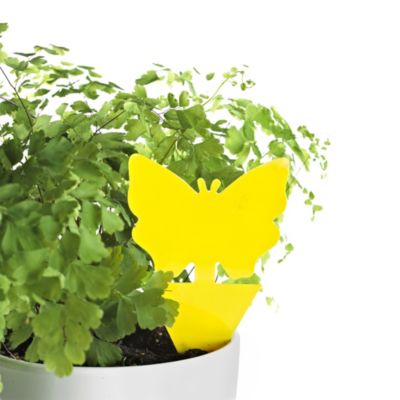 Potted Plant Insect Traps image(1)
