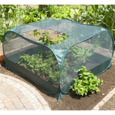 Pop-Up Fruit Cage image(1)